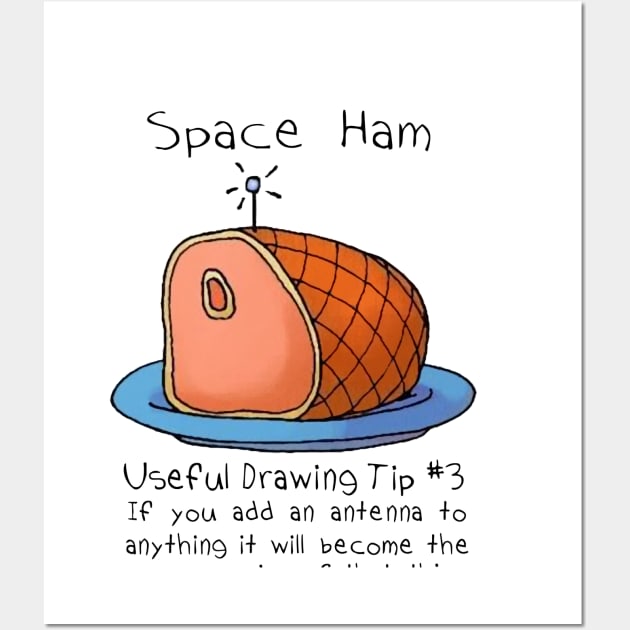 Space Ham Wall Art by drawboy